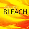 Spirit - Soul of Bleach