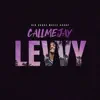 CallMeJay - Levvy - Single